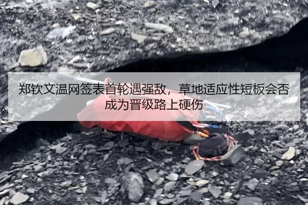郑钦文温网签表首轮遇强敌，草地适应性短板会否成为晋级路上硬伤